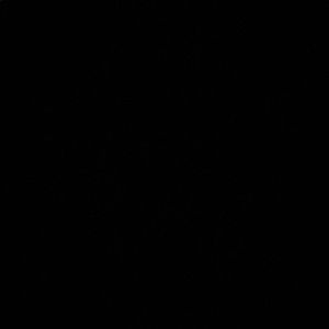 Meet your Posher, Essence